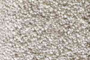 Ковролин AW Masquerade Gaudia 95 фото  | FLOORDEALER